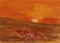 Sunset in the Desert